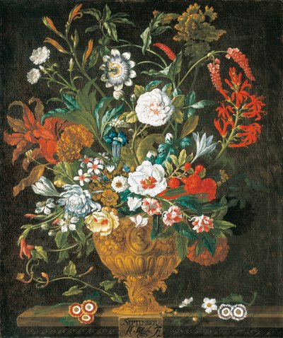september, fra The Twelve Months of Flowers, en blomsterkalender med stilleben av Pieter Casteels