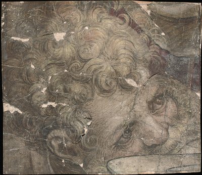 Hodet til en skjeggete mann ser oppover av Pieter Coecke van Aelst