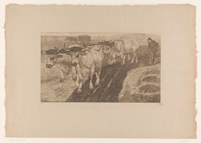 Pløye okser av Pieter Dupont (signed by artist)