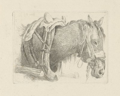 Studie av et hestehode av Pieter Gerardus van Os