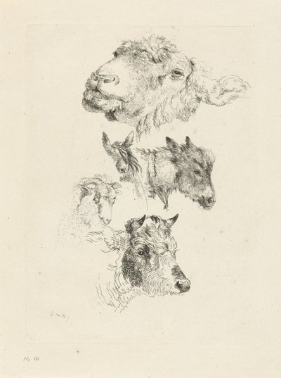 Studieark med sau, hest, esel, vær og oksehoder av Pieter Gerardus van Os