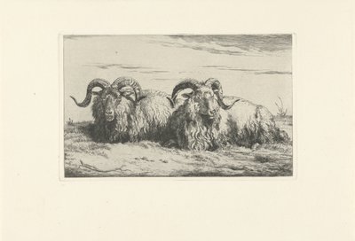 To liggende værer Sauer og geiter (serietittel) av Pieter Gerardus van Os
