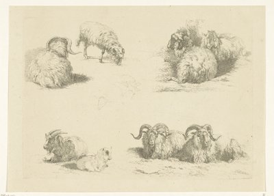 Fire forestillinger med sauer og geiter Sauer og geiter (serietittel) av Pieter Gerardus van Os