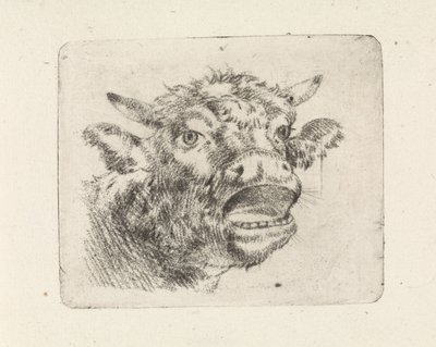 Kuhode, hylende av Pieter Janson