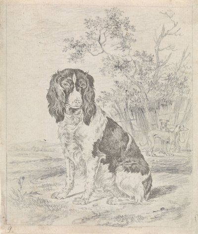 Sittende rapphønehund av Pieter Janson