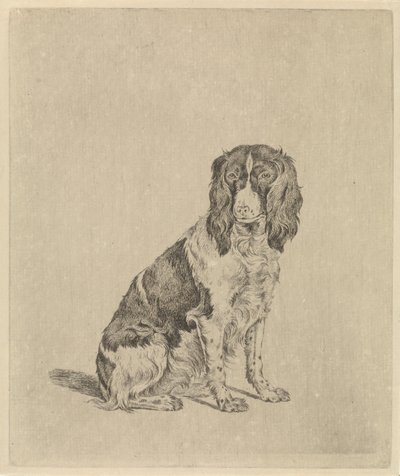 Sittende rapphønehund av Pieter Janson