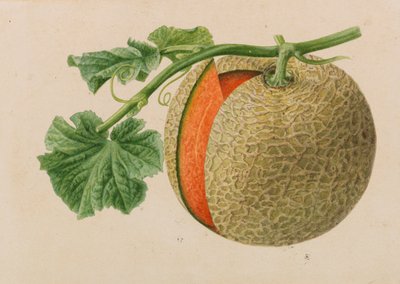 Originaler fra hagebruk og arboriculture publikasjoner, 1878-1881. av Pieter Joseph de Pannemaeker