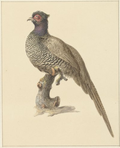 Jakt fasan av Pieter Pietersz. Barbiers