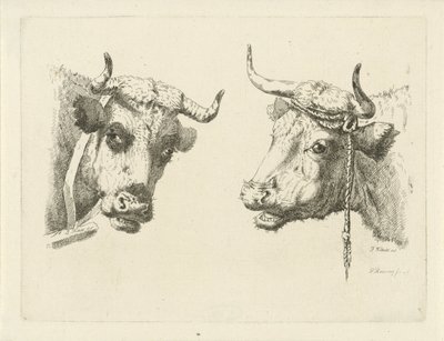 To kuhoder av Pieter Roosing
