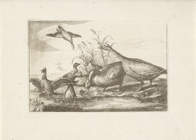 Eenden en ganzen Verschillende vogels (series title) Diversarum avium perfectissimae figurae (...) (series title)   1373887   no       norwegian Successfully Translated  Original: Unter dem Kronleuchter (Under the Chandelier) Translat: Unter dem Kronleucht av Pieter Schenk (I) (attributed to)