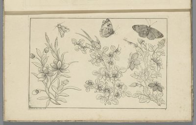 Tre blomstergrener og tre sommerfugler Kinesiske blomster og insekter (serietittel) av Pieter Schenk (II)