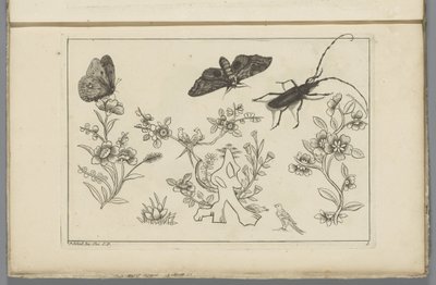 Tre blomstergrener med fugler, sommerfugler og et insekt Kinesiske blomster og insekter (serietittel) av Pieter Schenk (II)