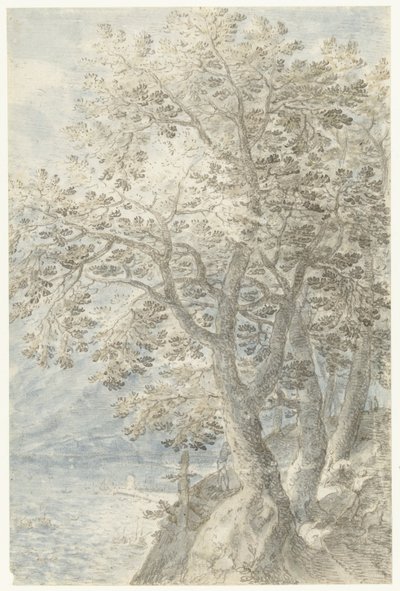 Trær ved en bratt fjellvegg av Pieter Stevens (I)