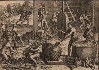 Slaver behandler sukkerrør og lager sukker. av Pieter Van der Aa