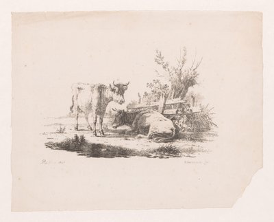 To kyr ved et gjerde og ei pil av Pieter de Goeje