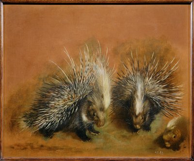  av Pieter or Peter Boel