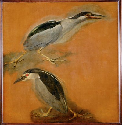  av Pieter or Peter Boel