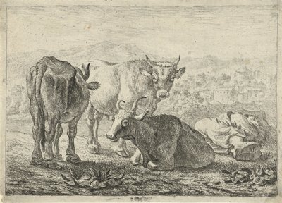  av Pieter van Laer