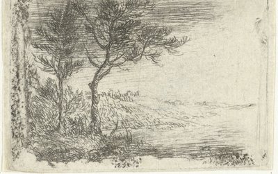  av Pieter van Laer