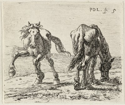  av Pieter van Laer