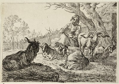  av Pieter van Laer