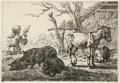  av Pieter van Laer