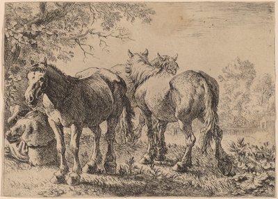 Tre hester på et felt av Pieter van Laer