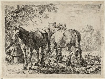  av Pieter van Laer