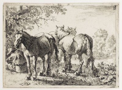  av Pieter van Laer