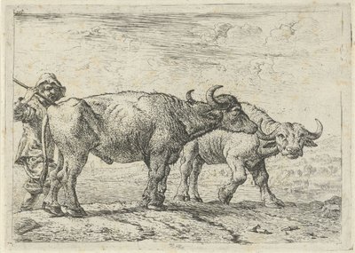  av Pieter van Laer