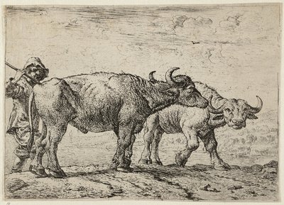  av Pieter van Laer
