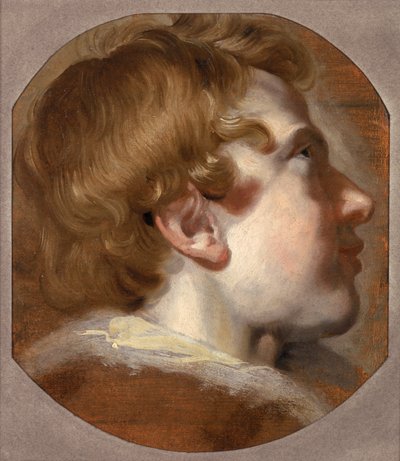 Head of a Young Boy, ca. 1620-tallet (olje på papir) av Pieter van Mol