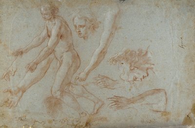  av Pietro Aquila