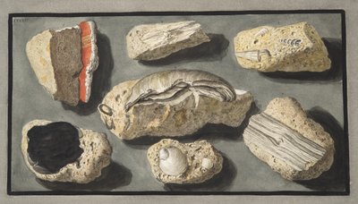 Eksemplarer av Tufa funnet i og rundt Herculaneum, plate XXXXV, fra 