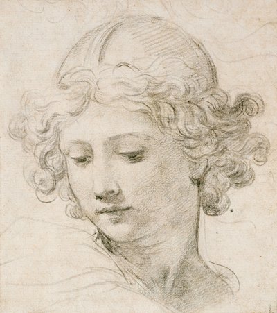 Hodet til en engel, ser ned til venstre av Pietro da Cortona