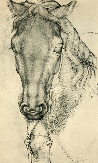 Hodet for en hest, c1420-1455, 1943. av Antonio Pisanello