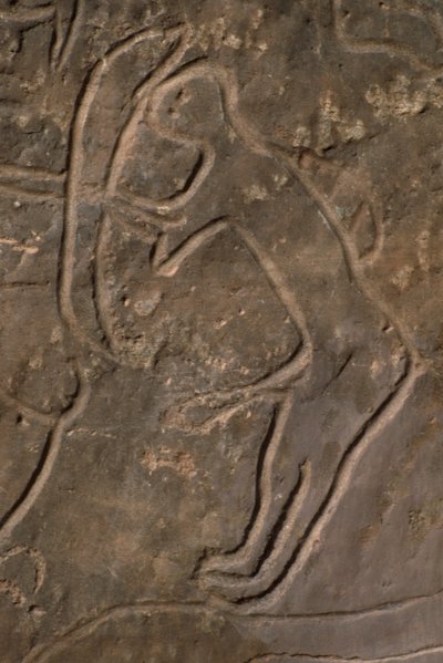 Menneskeskikkelse og oksehode (helleristning) av Prehistoric