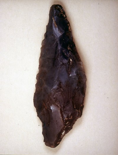 Piler peker i flint. Varese. Arkeologisk museum i Milano av Prehistoric Prehistoric