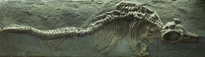  av Prehistoric Prehistoric