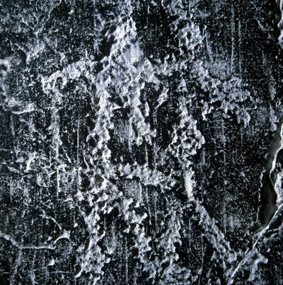 Parringsscene. Forhistorisk graffiti i Camonica-dalen, Foppe di Nardo. av Prehistoric Prehistoric