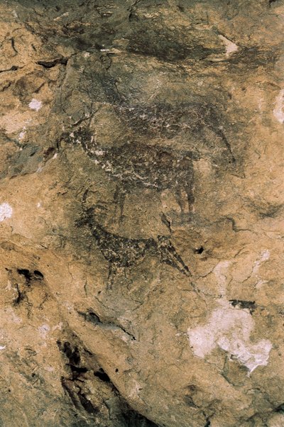 Mesolittisk bergkunst: Hjort og geiter (8000-7000 f.Kr.), Spania, Bicorp, La Arana-hulen (maleri) av Prehistoric Prehistoric