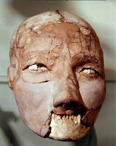 Neolittisk kunst: menneskeskalle fra steinalderen (6000-4000 f.Kr.). Fra Jericho, arkeologisk museum, Amman, Jordan av Prehistoric Prehistoric