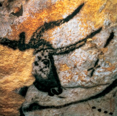 Parietalmaleri som viser en urokse (utdødd storfe), Bulls Room, Lascaux-hulen, Montignac, Dordogne, Frankrike, paleolittisk magdalenisk periode (maleri) av Prehistoric Prehistoric