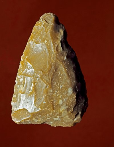 Prehistoire: Litisk produksjonsverktøy for Campignana-kulturen, Gargano, Italia. Kalkolittisk. Verone, Civic Museum of Natural History, Italia av Prehistoric Prehistoric