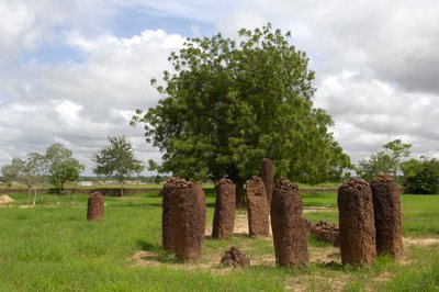 Forhistorie: Megalittisk sirkel av steiner fra Wassu, Gambia (bilde) av Prehistoric Prehistoric