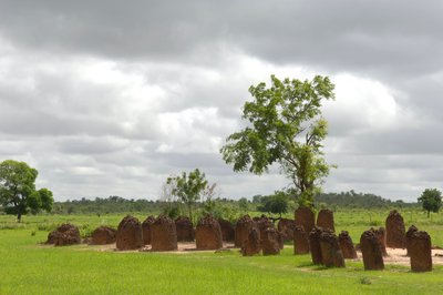 Forhistorie: Megalittisk sirkel av steiner fra Wassu, Gambia (bilde) av Prehistoric Prehistoric