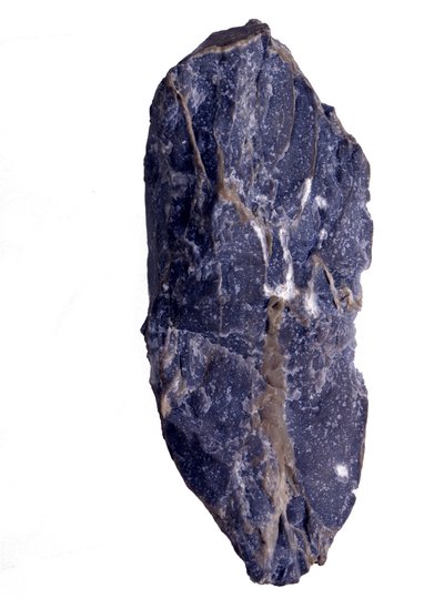 Forhistorie: Perioder av det arkeozoiske eller prekambriske (arkaiske) fragmentet av Collenia-bergarten av stromatolitt- eller stromatolitttype. Fra de forente stater. av Prehistoric Prehistoric