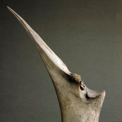 Forhistorie, Polada-kultur: tuppen av bein fra Polada Tourbiere, Lonato. Bronsealderen. Roma, Luigi Pigorini nasjonalmuseum for forhistorisk etnografi av Prehistoric Prehistoric