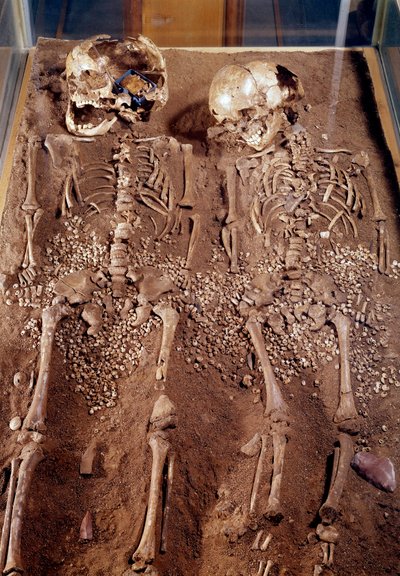 Forhistorie: Skjeletter av to barn. 30000-25000 f.Kr. Fra Grimaldi-hulen. Saint Germain en Laye, Museum of National Archaeology av Prehistoric Prehistoric
