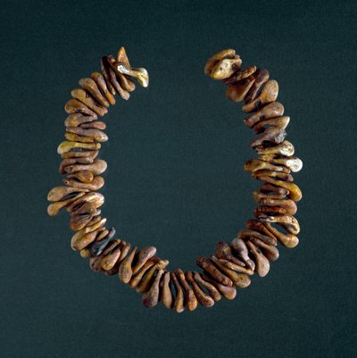 Forhistorie, steinalder: halskjede av bein fra hulen i Polesine, Veneto. Roma, Luigi Pigorini nasjonalmuseum for forhistorisk etnografi av Prehistoric Prehistoric